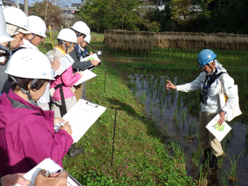 水田の脇で、白いヘルメットを着用した受講生たちがバインダーを手にメモを取っている様子