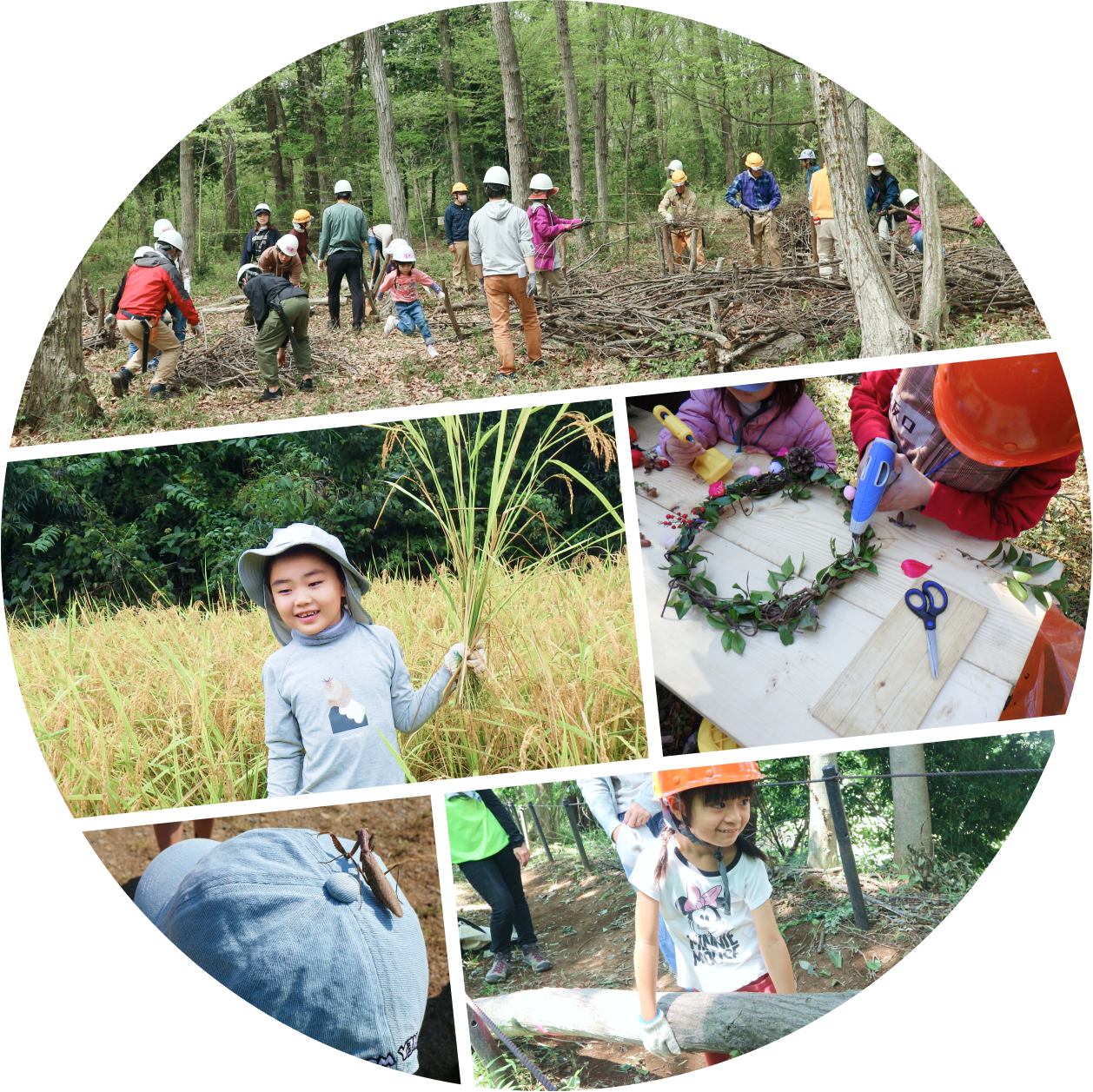 大人や子どもたちが森林整備や農作業などの自然体験活動に参加している様子