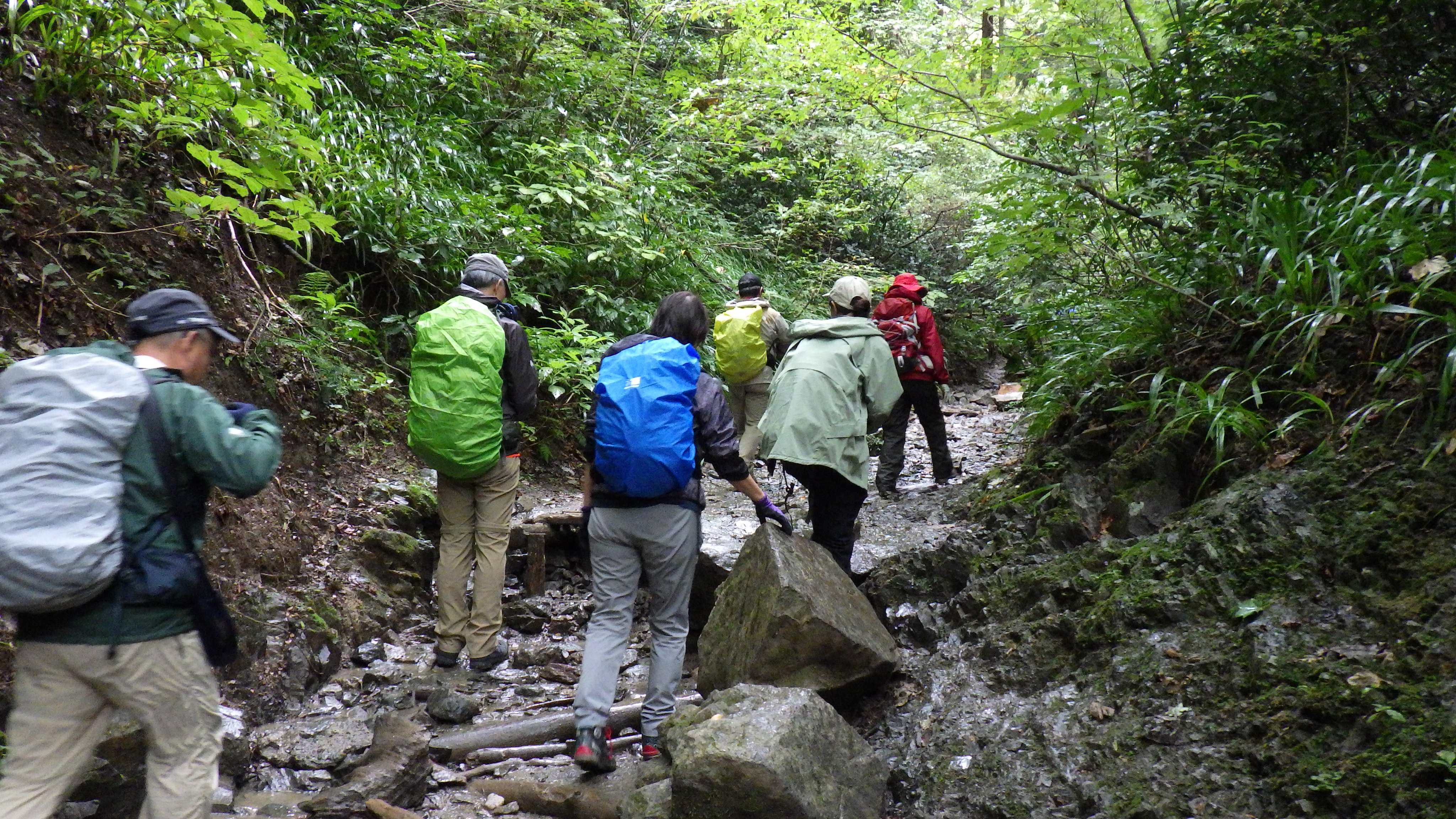 石山ぬかるんだ岩場の登山道を一列になって進む登山グループの後ろ姿。色とりどりのザックカバーをつけたメンバーが慎重に足元を選んで歩いている様子。