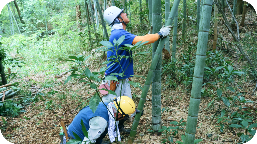 竹林の中で、ヘルメットを着用した2人の男性が整備作業を行っている様子