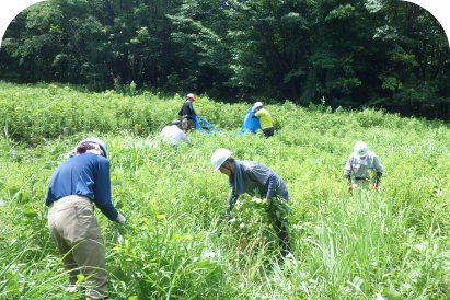 森を背景にした草地で、ヘルメットを着用した数人の作業員が草刈りや整備作業を行っている様子