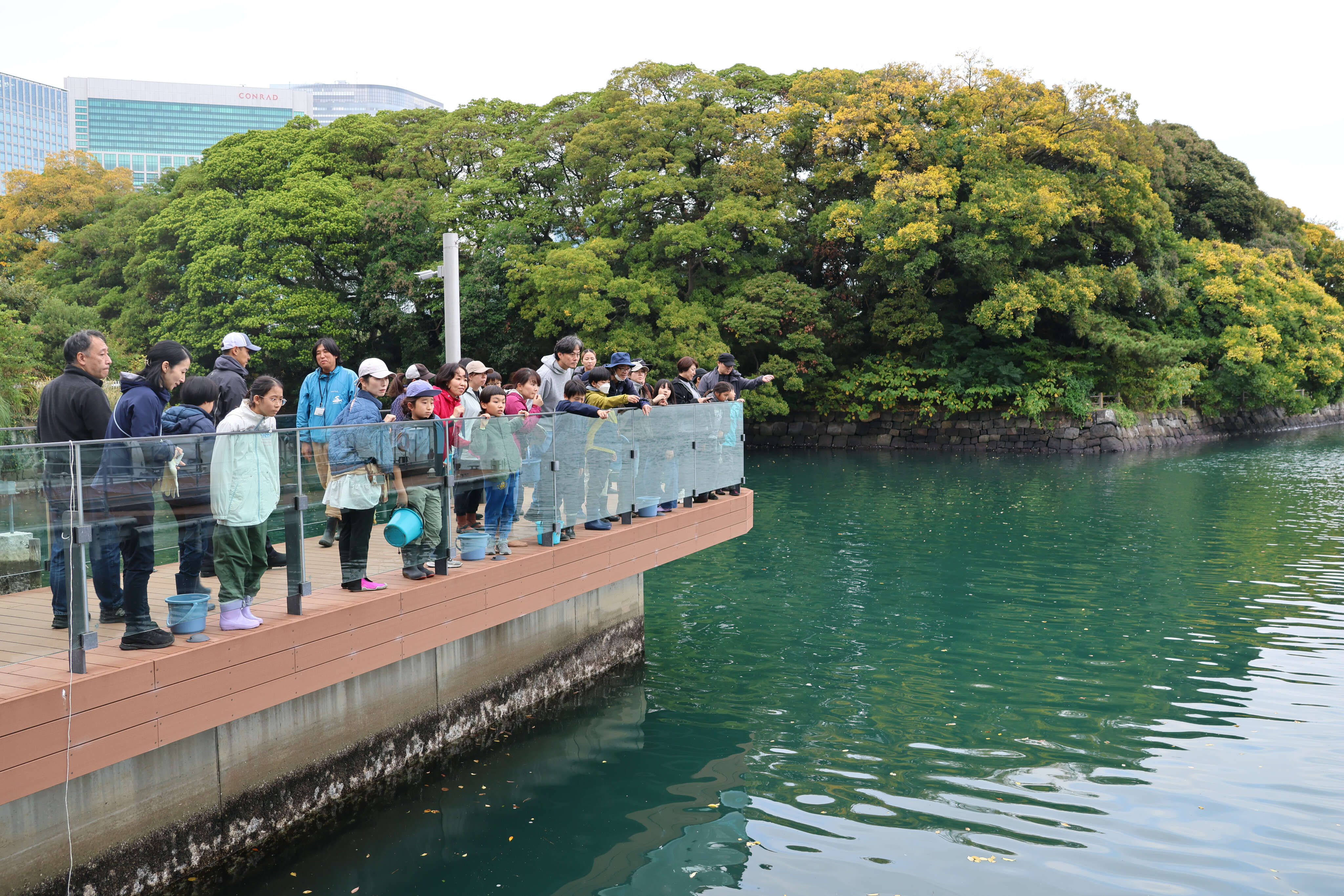 高層ビルが見える都心の公園で、水辺のデッキに集まった親子連れが、対岸の森や水面を観察している様子