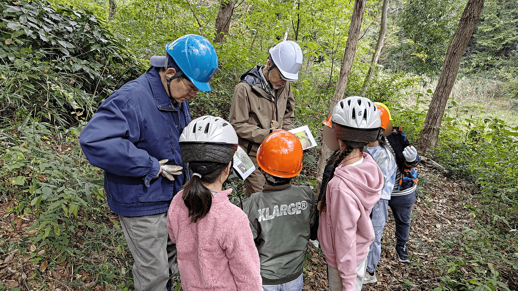 森の中で、ヘルメットを着用した指導員らしき男性たちが、子供たちに資料を見せながら自然解説を行っている様子