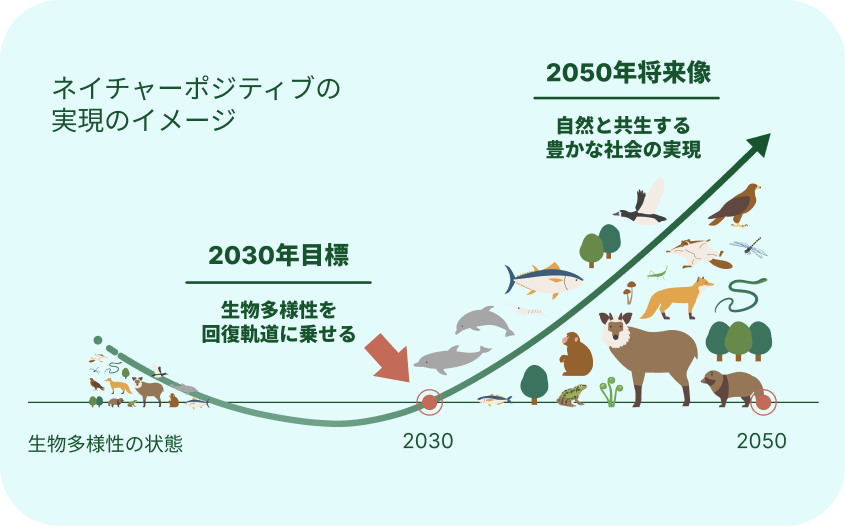 2030年に生物多様性の損失を止め、2050年に回復を目指す「ネイチャーポジティブ」のイメージ図