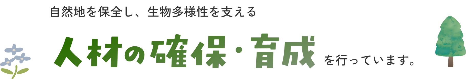 自然地を保全し、生物多様性を支える人材の確保・育成を行っています。