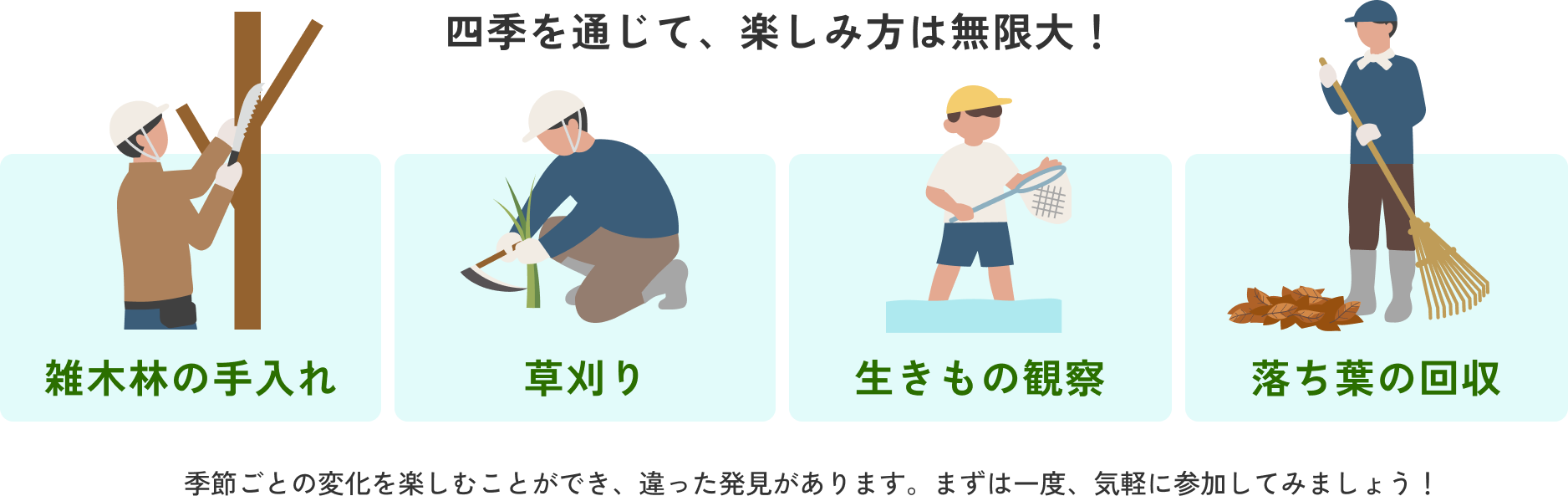 四季を通じて、楽しみ方は無限大!雑木林の手入れ、草刈り、生きもの観察、落ち葉の回収など、季節ごとの変化を楽しむことができ、違った発見があります。まずは一度、気軽に参加してみましょう!