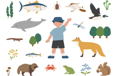 中央に立つ男の子の周りに、陸・海・空の様々な生き物(イルカ、マグロ、キツネ、タヌキ、リス、カエル、カニ、鳥、トンボ、カブトムシ、植物、キノコなど)が配置されたイラスト。
