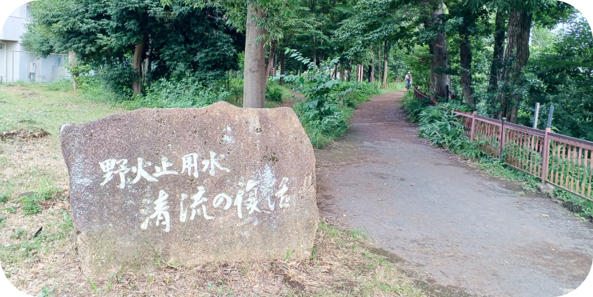 歴史的な散策路である野火止用水の傍らに立つ、「野火止用水 清流の復活」と刻まれた大きな石碑。