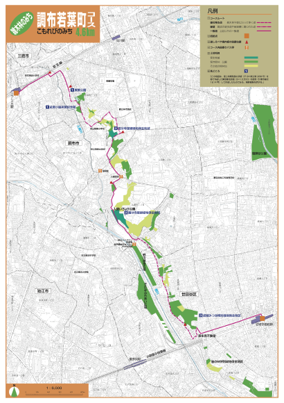 『調布若葉町コース こもれびのみち 4.1km』の案内地図