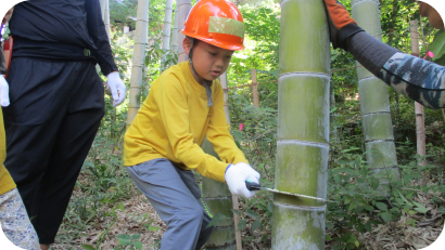 オレンジ色のヘルメットを被った小学生が、大人の指導のもと、竹林でノコギリを使って太い竹を一生懸命に切っている様子。