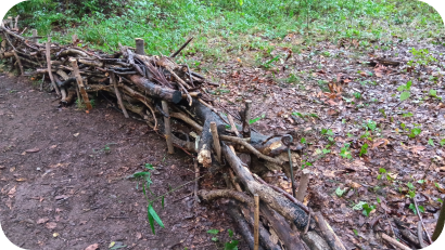 伐採した細い枝や幹を積み重ね、杭で固定して作られた「粗朶垣（そだがき）」。