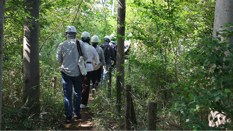ヘルメットを着用した数名の参加者が、樹木に囲まれた細い山道を一列になって進む、フィールド調査や自然観察ツアーの様子。