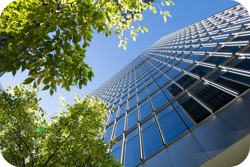 青空の下、鮮やかな緑の木の葉越しに見上げる、全面ガラス張りの近代的な高層ビル。