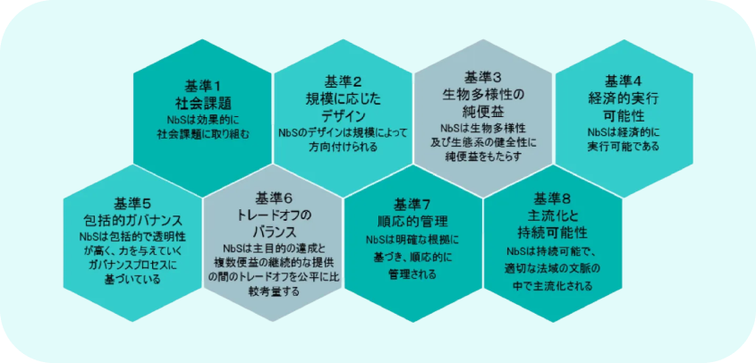 NbS（自然に根ざした解決策）の8つの基準を説明する図解。緑色の六角形が連結しており、基準1「社会課題」から基準8「主流化と持続可能性」まで、各項目の名称と概要が記載されている。