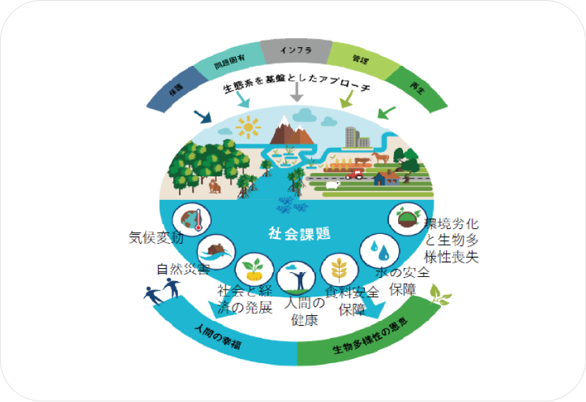 「生態系を基盤としたアプローチ」を示す円形の概念図。上部には「インフラ」「管理」「再生」などのアプローチ、中央には自然と都市が共生するイラスト、下部には「気候変動」「食料安全保障」などの解決すべき社会課題がアイコンで示されている。
