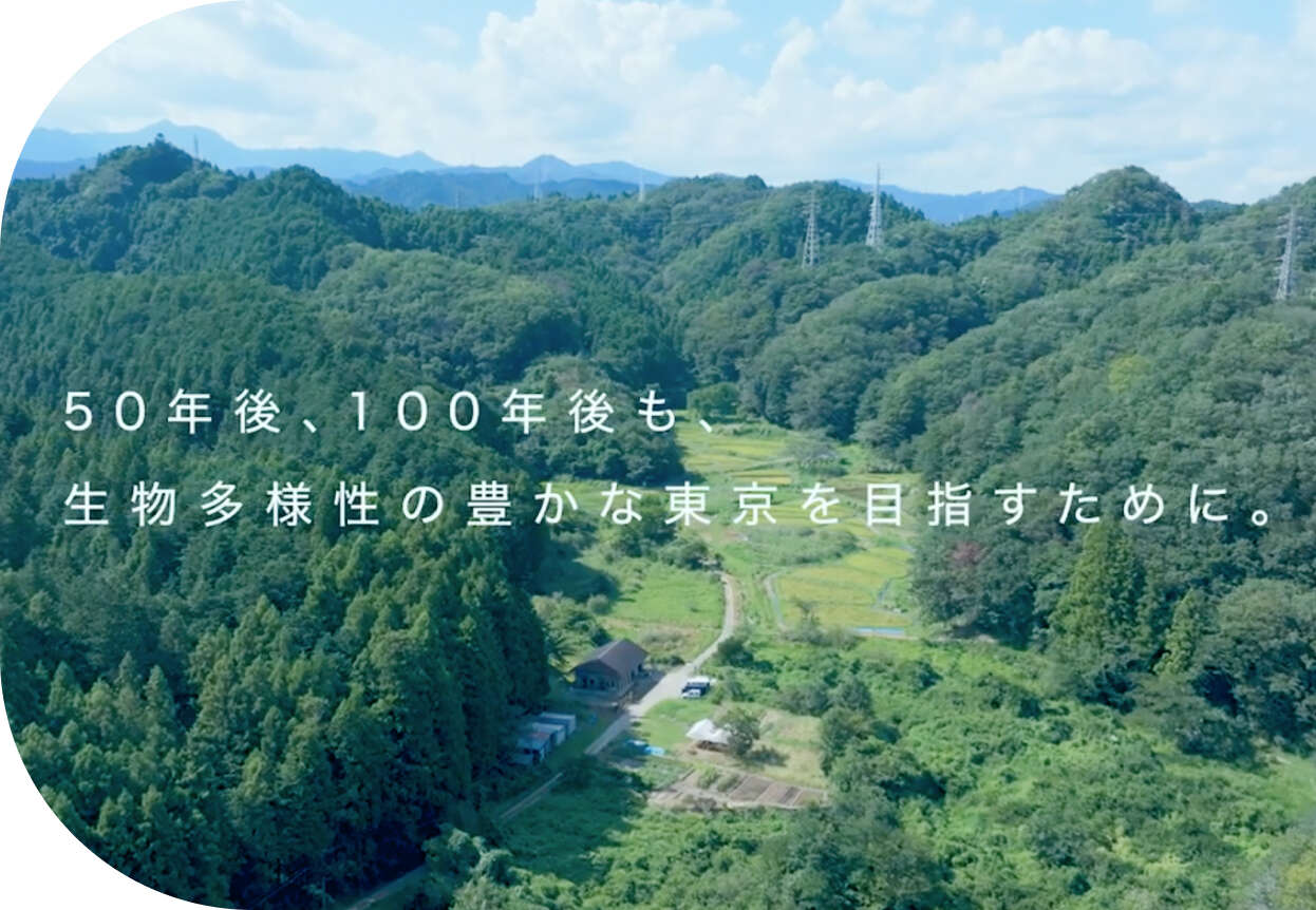 緑豊かな山々と田畑が広がる東京の里山の風景に、「50年後、100年後も、生物多様性の豊かな東京を目指すために。」というメッセージが添えられた画像。